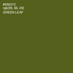 #55601C - Green Leaf Color Image